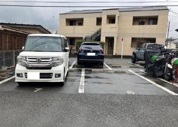 全体写真