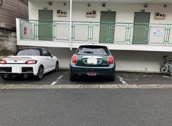 全体写真