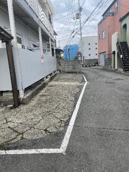 全体写真