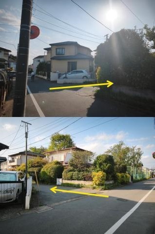 全体写真