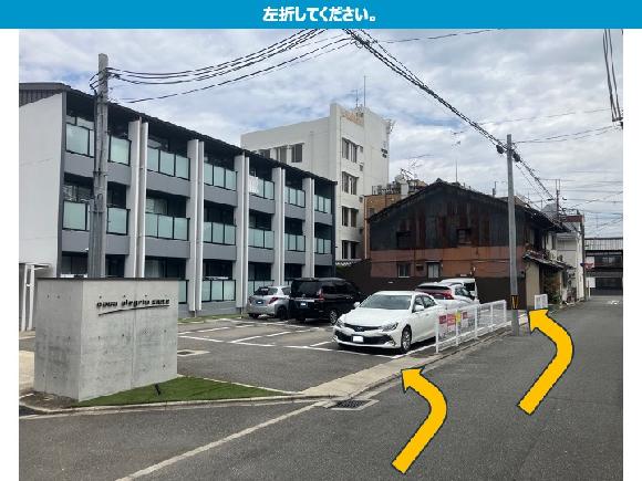 全体写真
