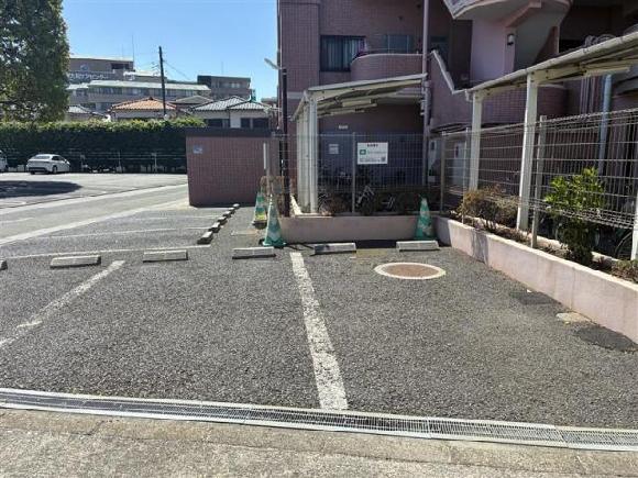 全体写真