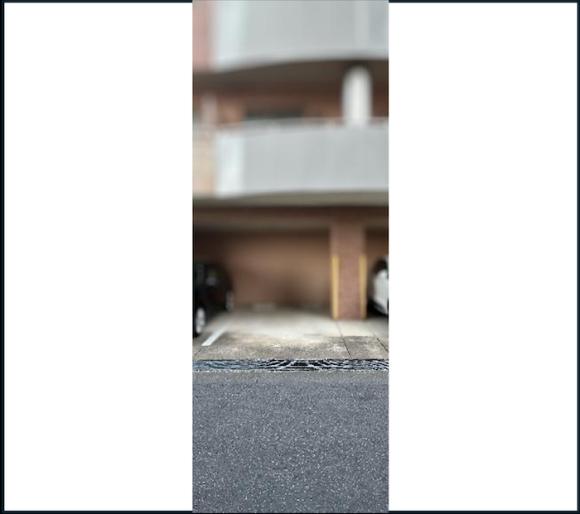 全体写真