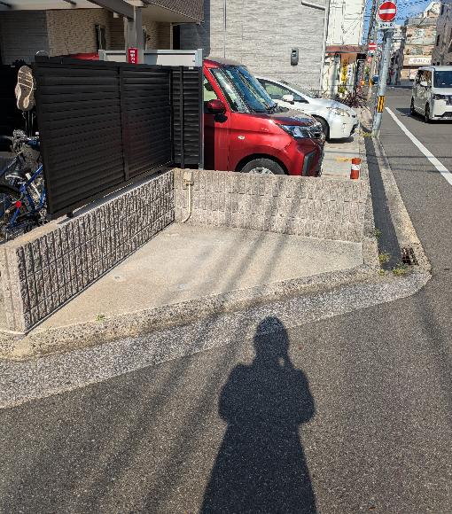 全体写真