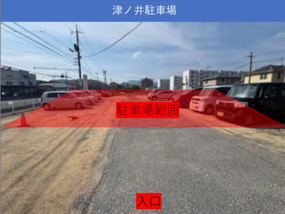 全体写真