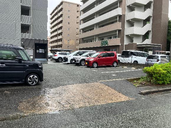 全体写真