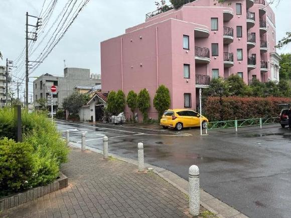 全体写真