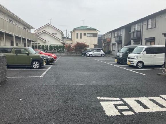 全体写真
