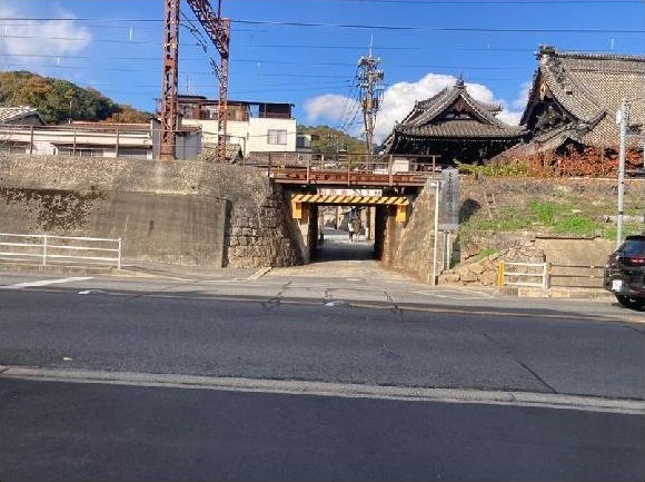全体写真