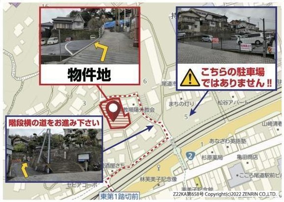 全体写真