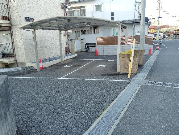 全体写真