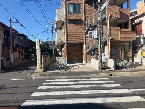 全体写真