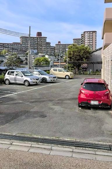全体写真