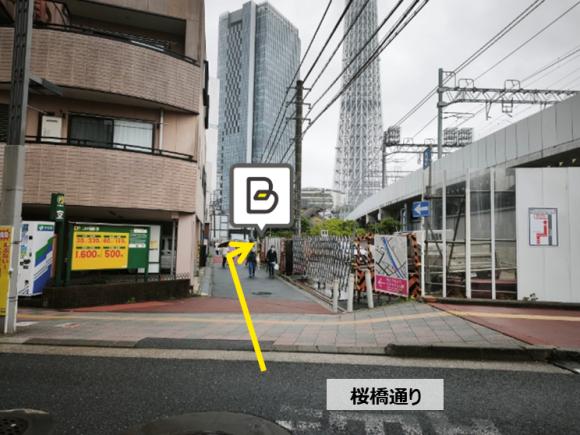 全体写真