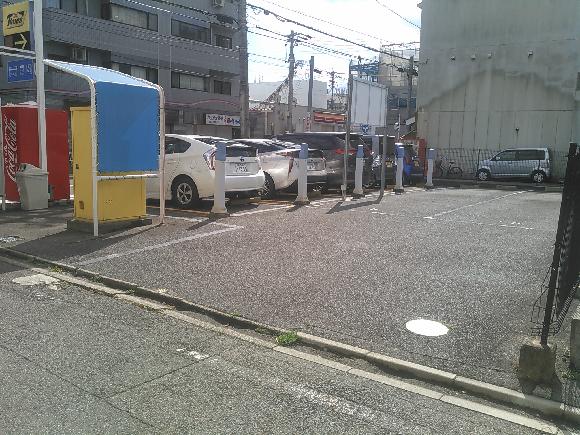 全体写真