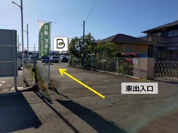全体写真
