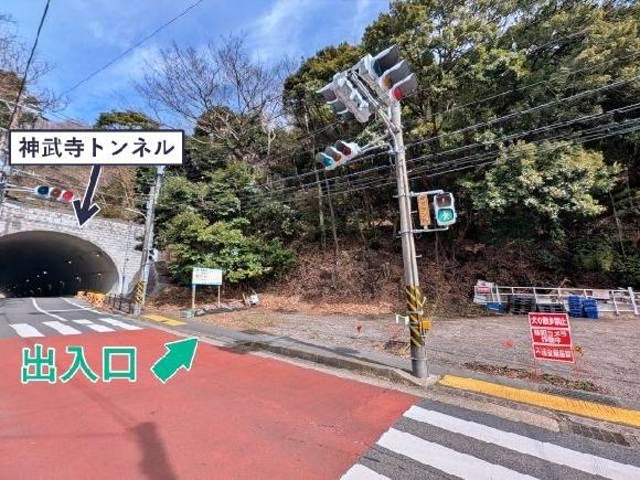 全体写真