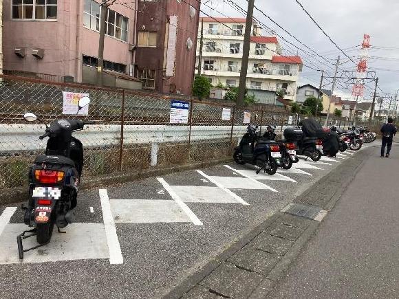 全体写真