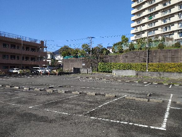 全体写真