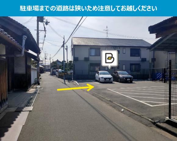 全体写真