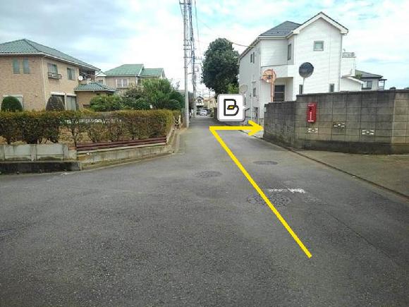 全体写真
