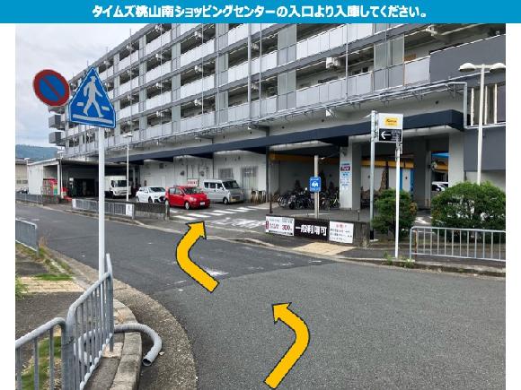全体写真