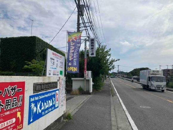 全体写真