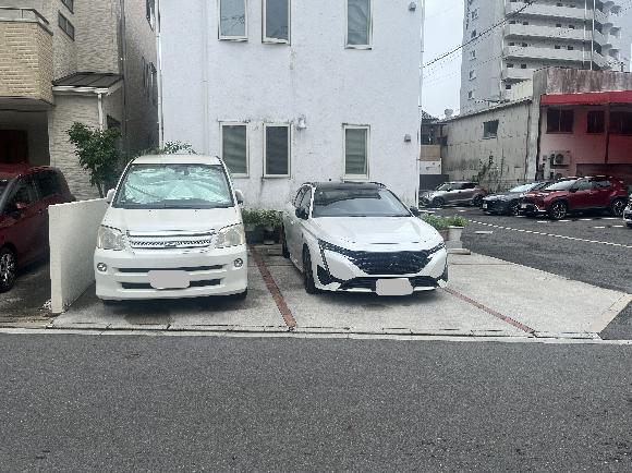 全体写真