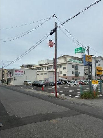 全体写真