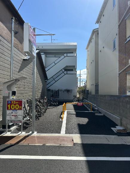 全体写真