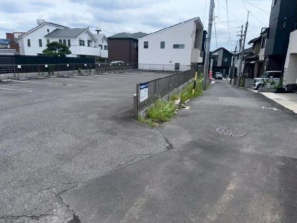 全体写真