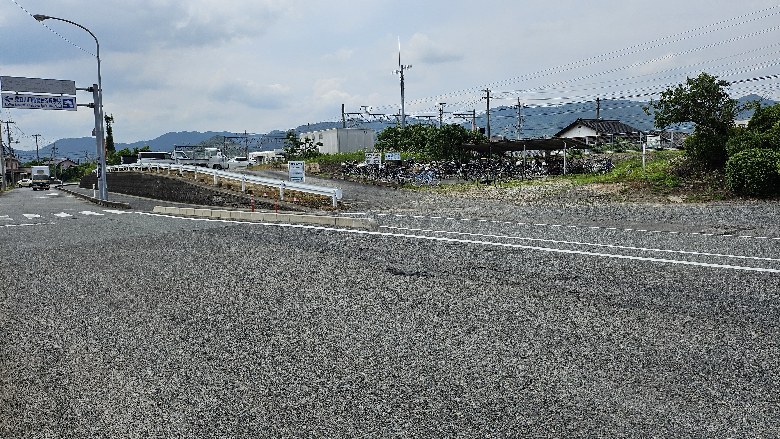 全体写真