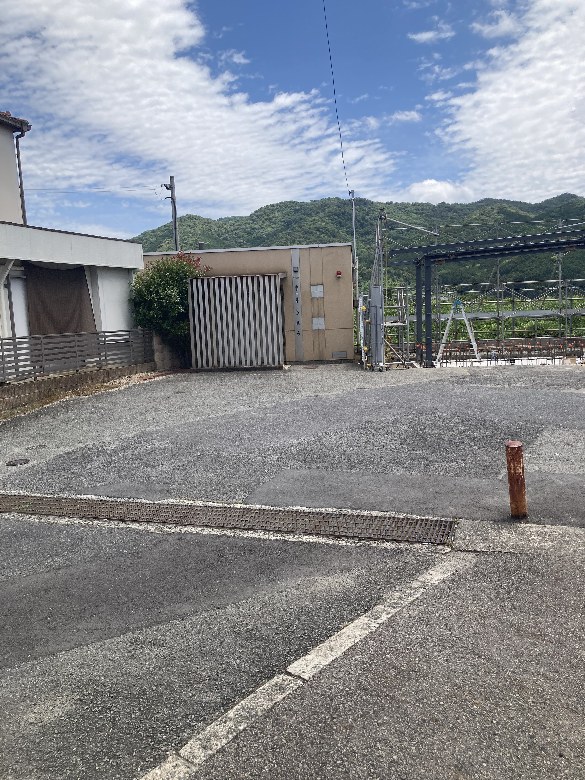 全体写真
