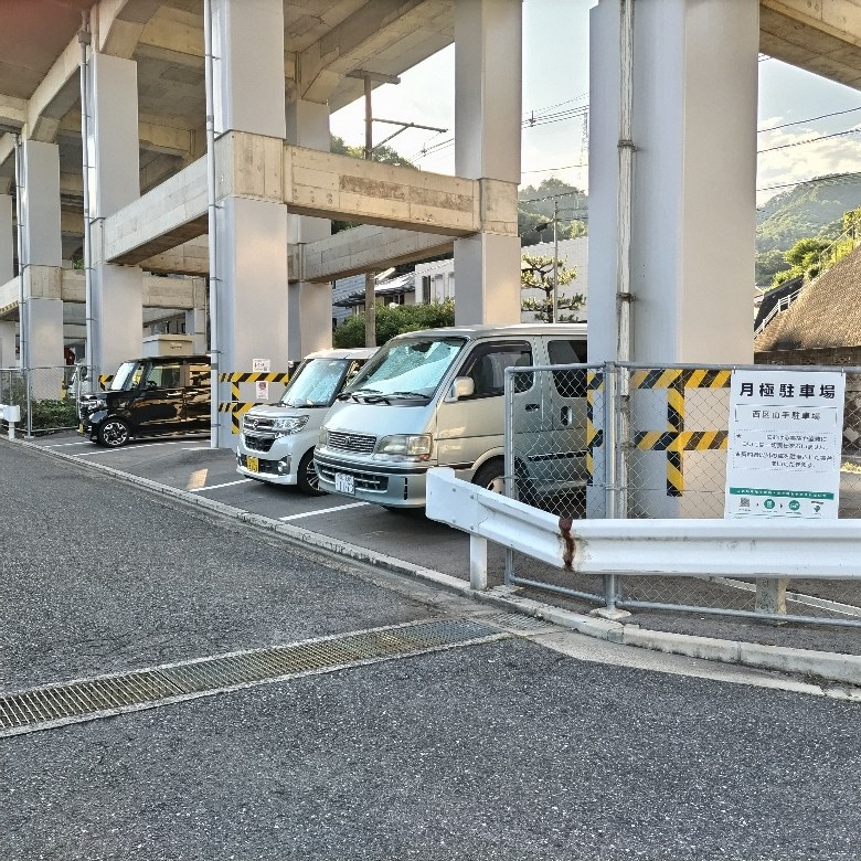 全体写真