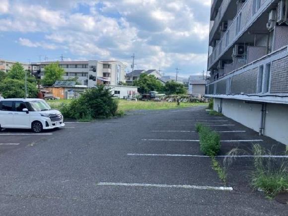 全体写真