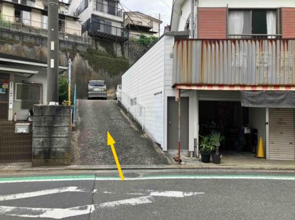 全体写真