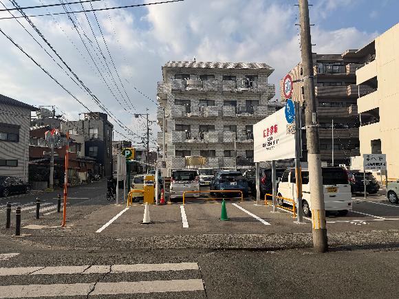 全体写真