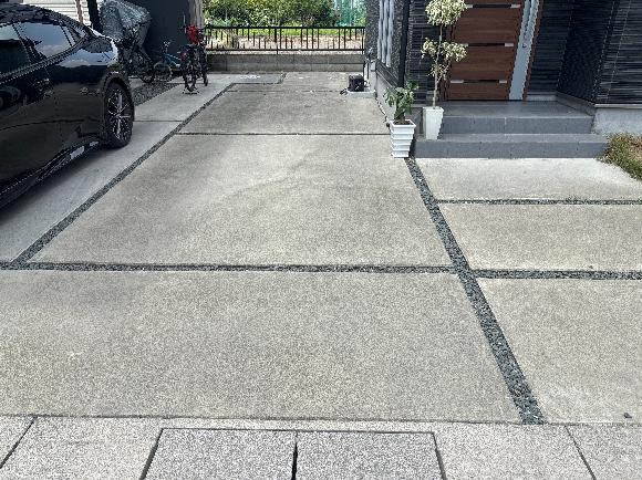 全体写真