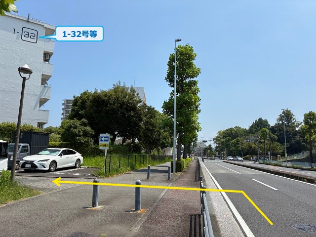 全体写真