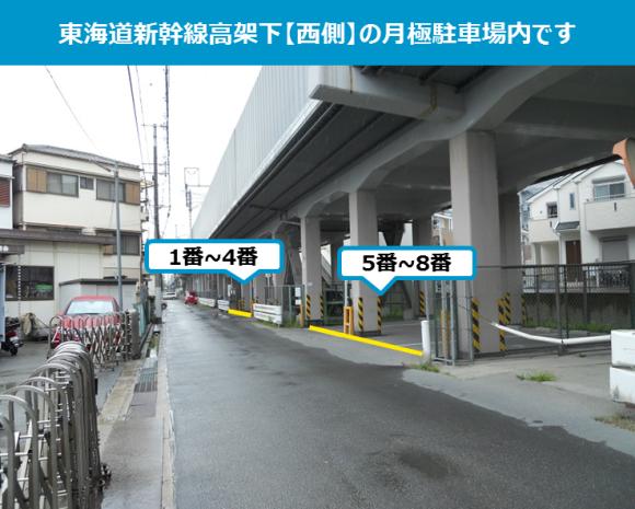 全体写真
