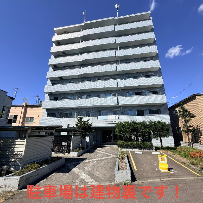 全体写真