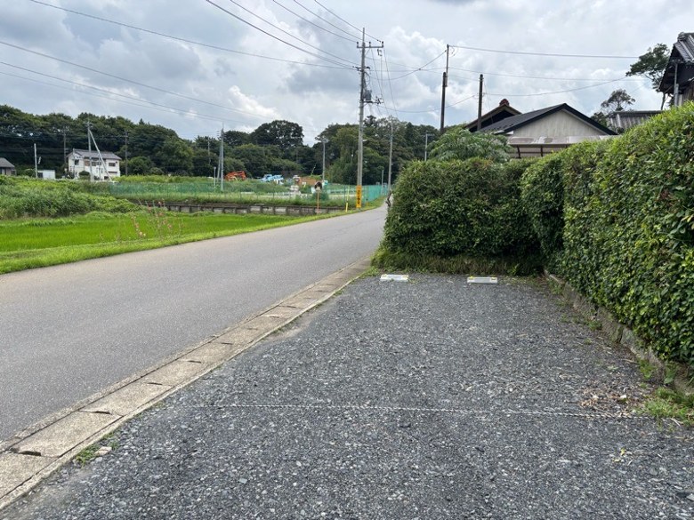 全体写真