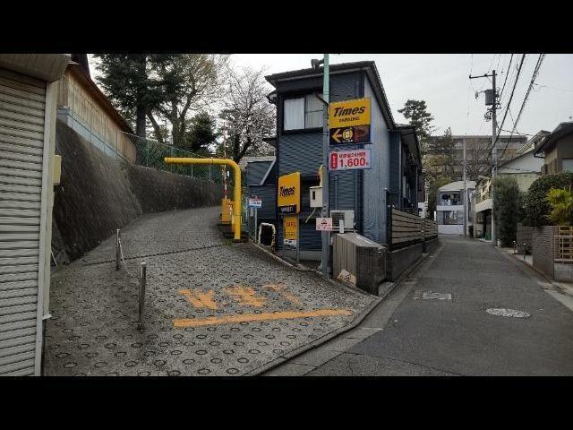 全体写真