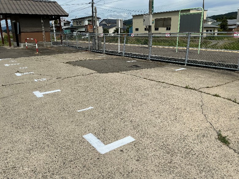全体写真