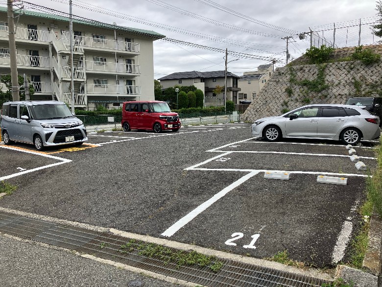 全体写真