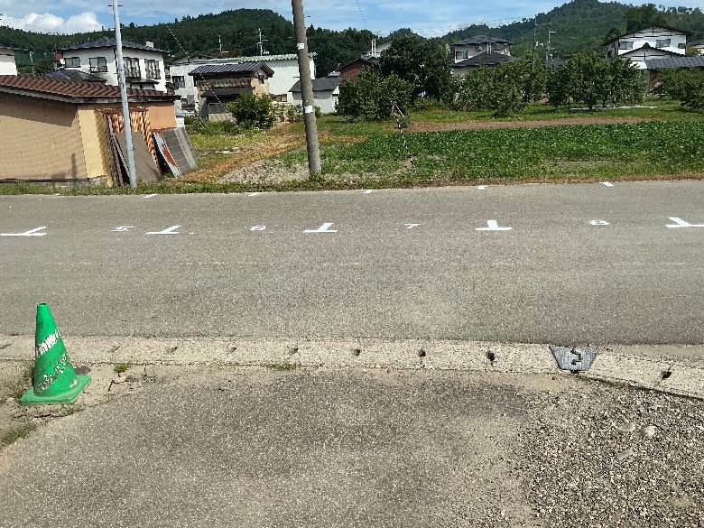 全体写真