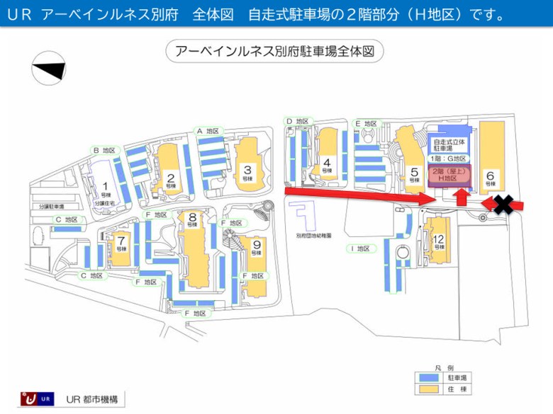 全体写真