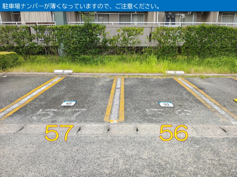 レイアウト