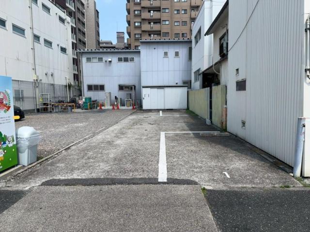 全体写真