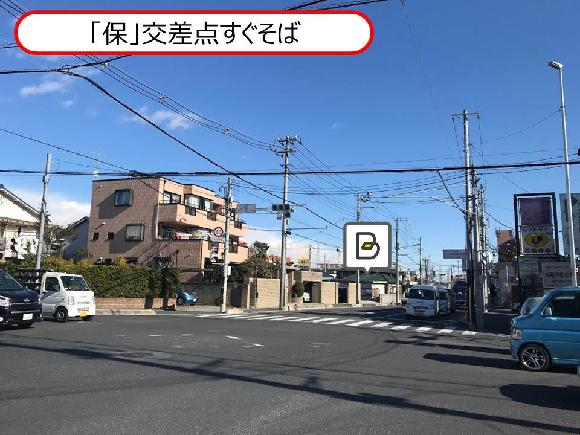 全体写真